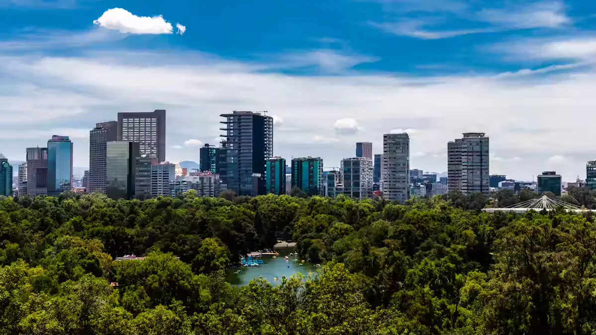View over Chapultepec, Mexico City